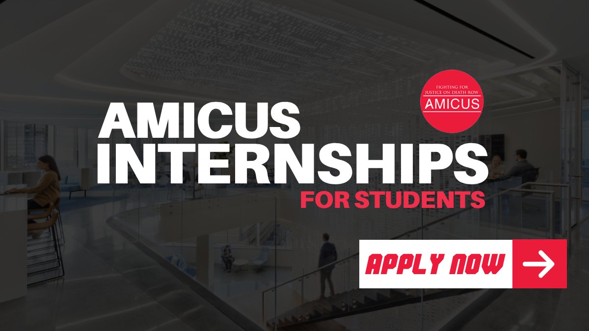 Amicus Internship